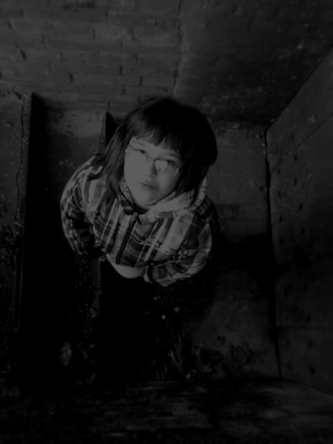 Jesie 2010 .