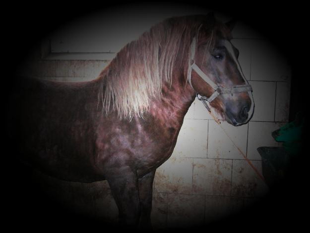 Pysia >3 ;*