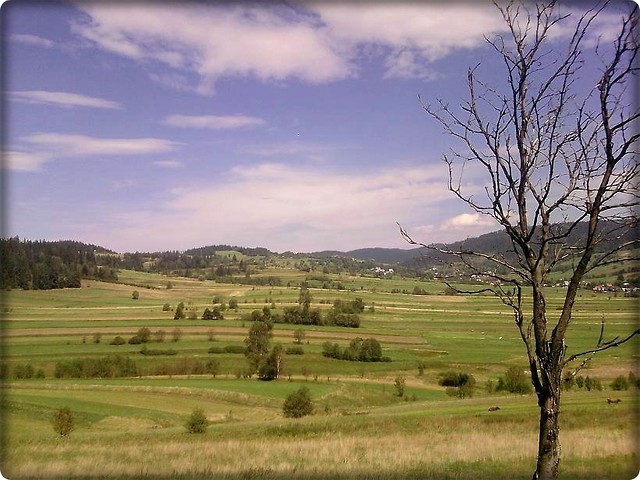 Krajobraz gr