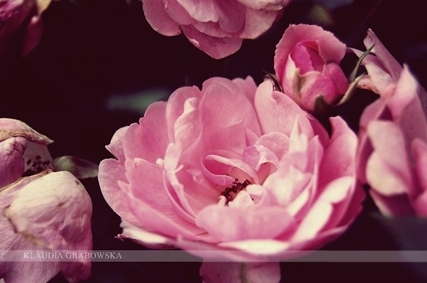 05. New life