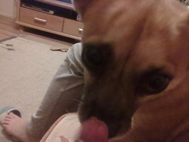 Zula. ;d
