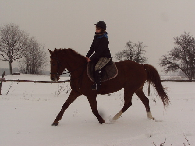 Znow