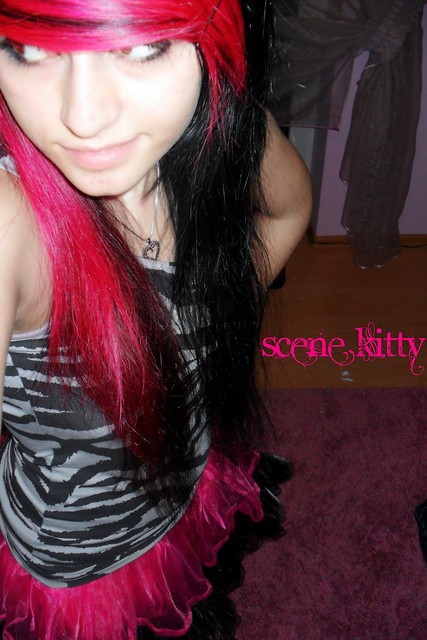 Scene Kitty