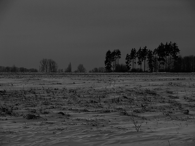 A cold wind is blowing...