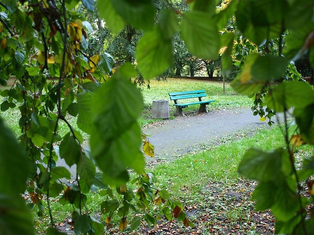 Ukradkiem.