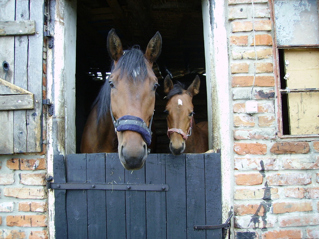 H&H