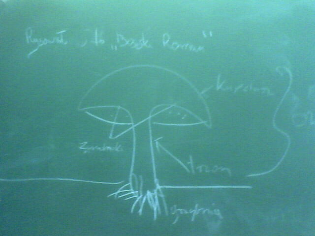 technologia 