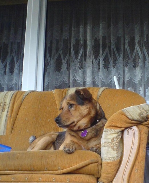 Buster