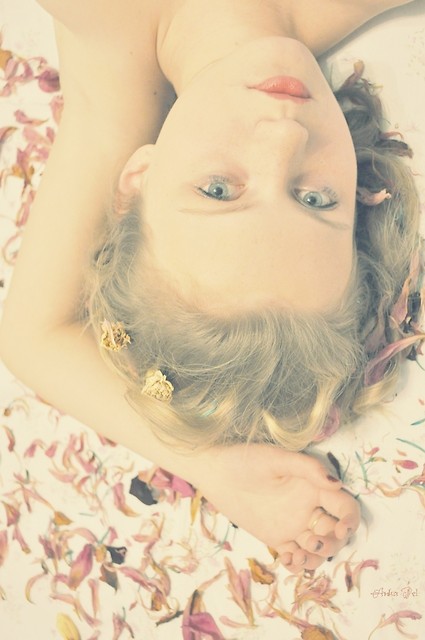  golden rose.