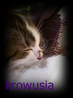 krowusia ewelki