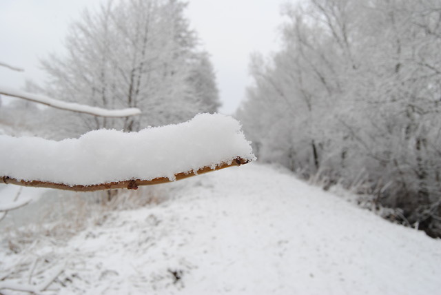 snow