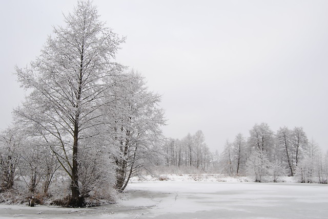 snow