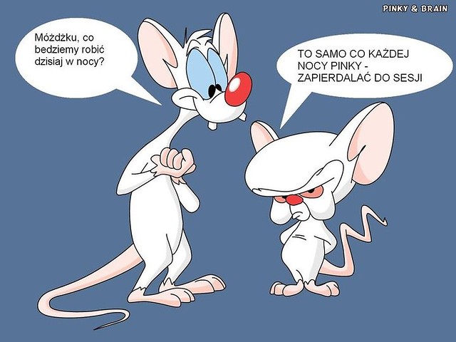 Sesja.