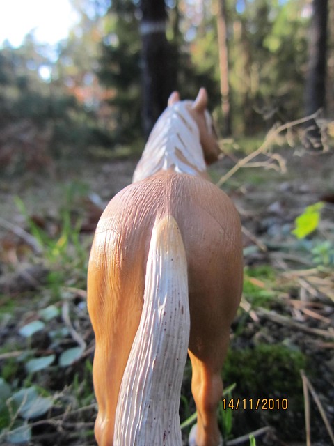19.