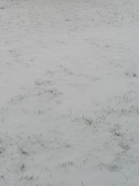 Znowu Zima...