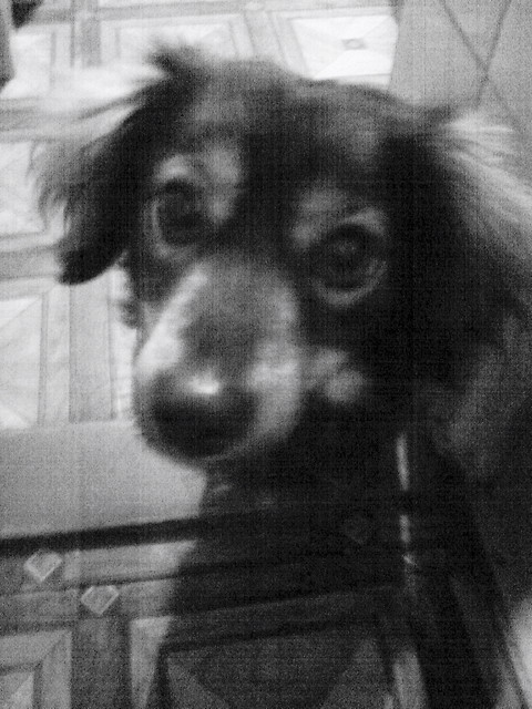 CzikA 