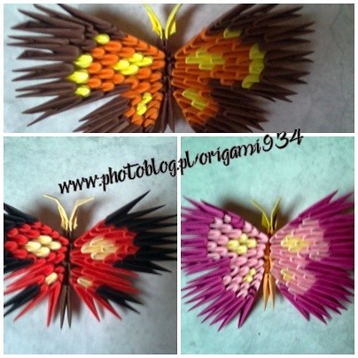 Motyle
