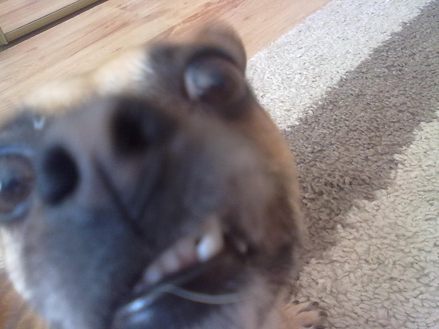 Zula ;d