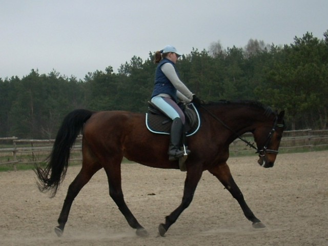 Wspomnienie .