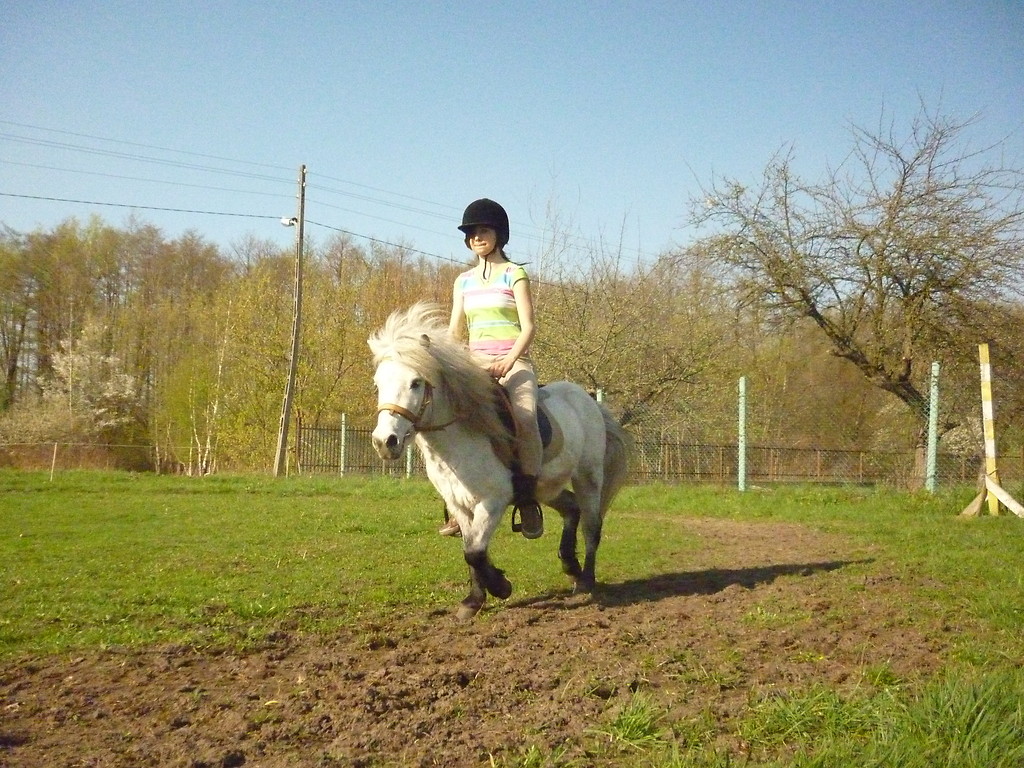 Otelo kus