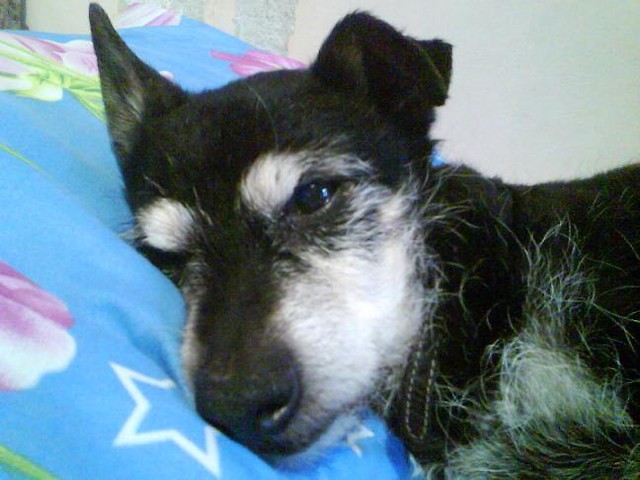 Atosek ;* :D