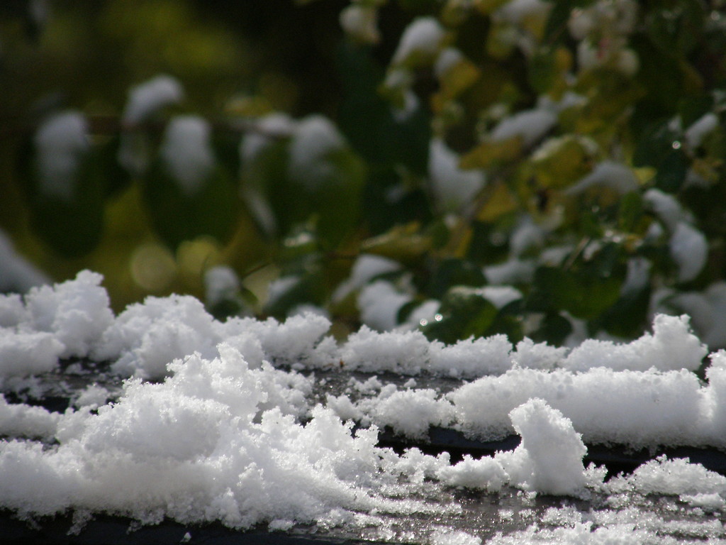 snow