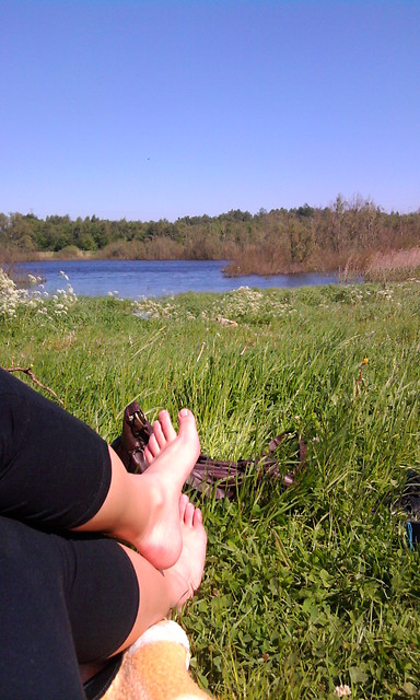 need sun