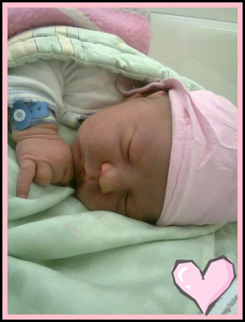 Myszka.;*
