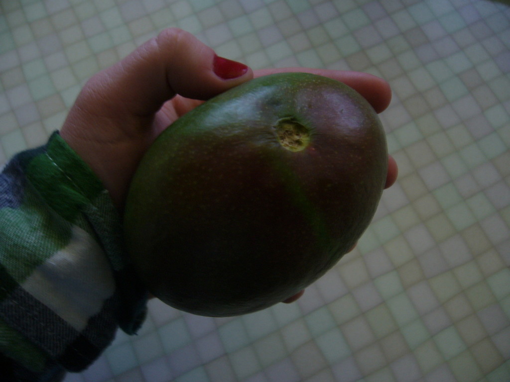 mango.