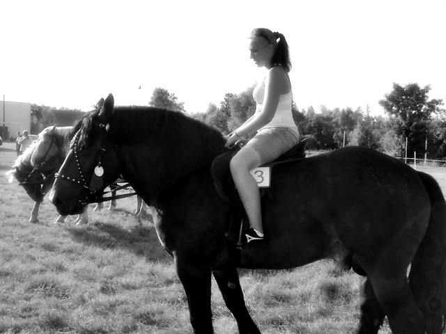 Punica 09'