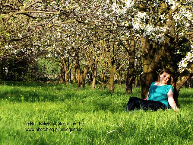 In the garden .