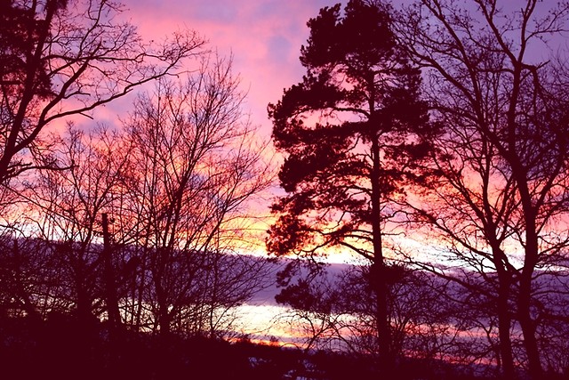 Sun Set  by Woolf