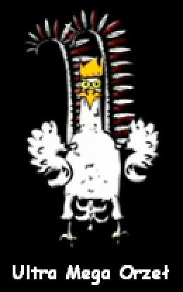 Muskulatura Orzea