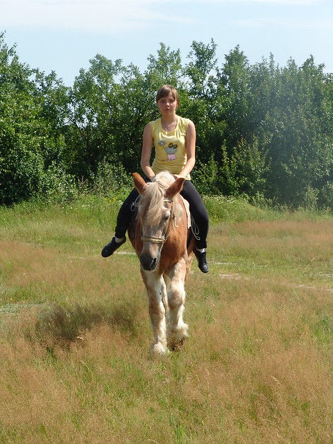 Z Czesi
