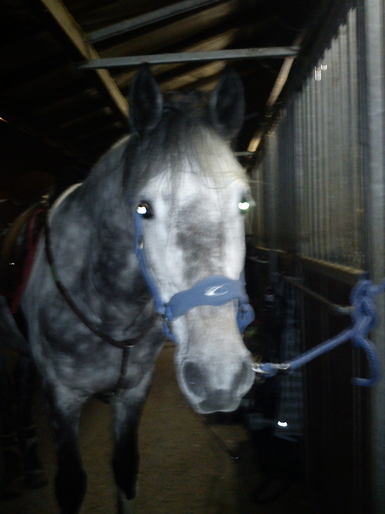 Darco :D