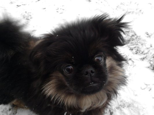 Mj ;3