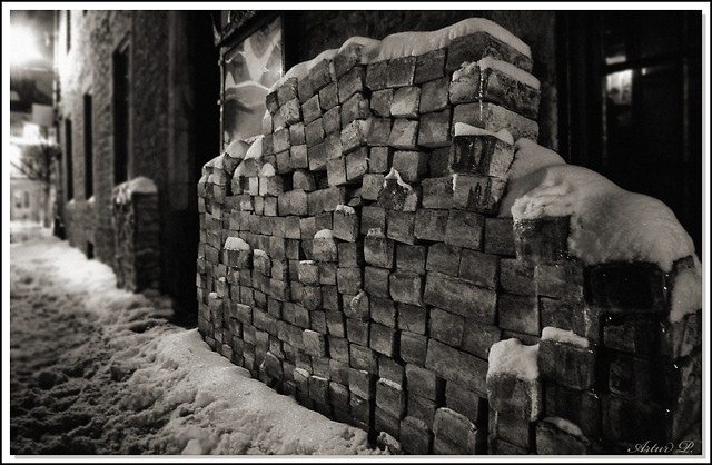 Bricks