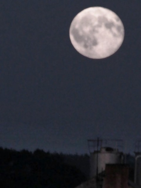 talking on the moon.