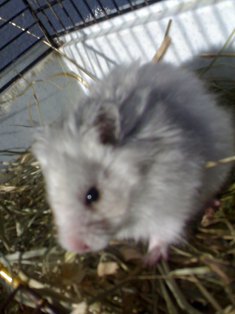 hihih , mj pysiek - Micha : 33
