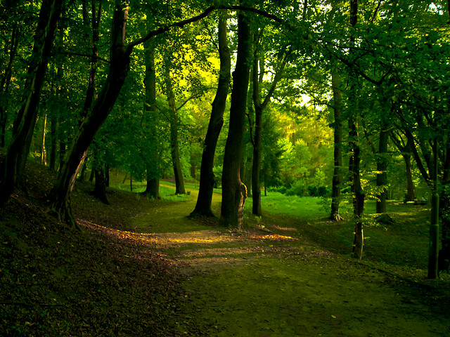 Park