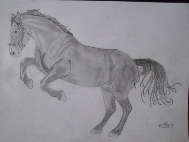 Misio;]