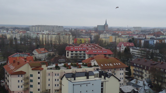 Dzie w Koobrzegu...