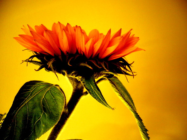 summertime, time, time, time...