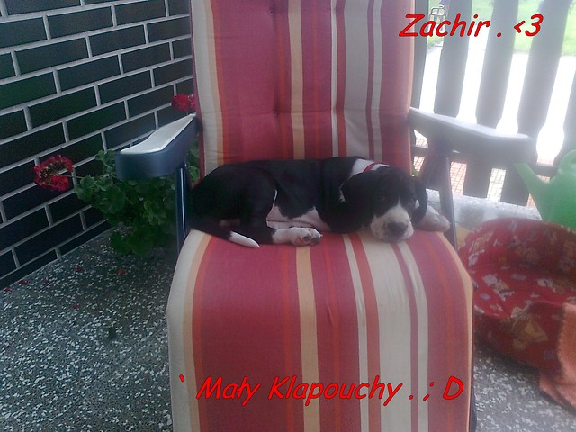 Zachir . 