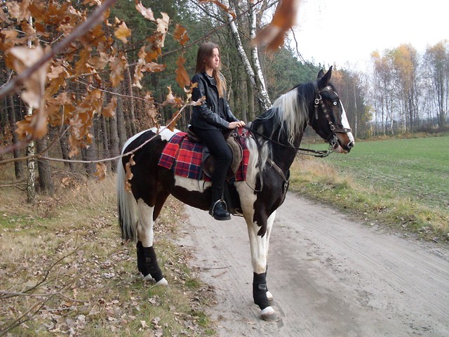 Kajdany opady...