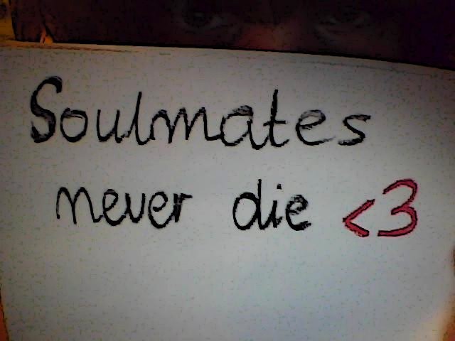 soulmate never die .