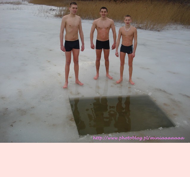 nr 29. ; ddd