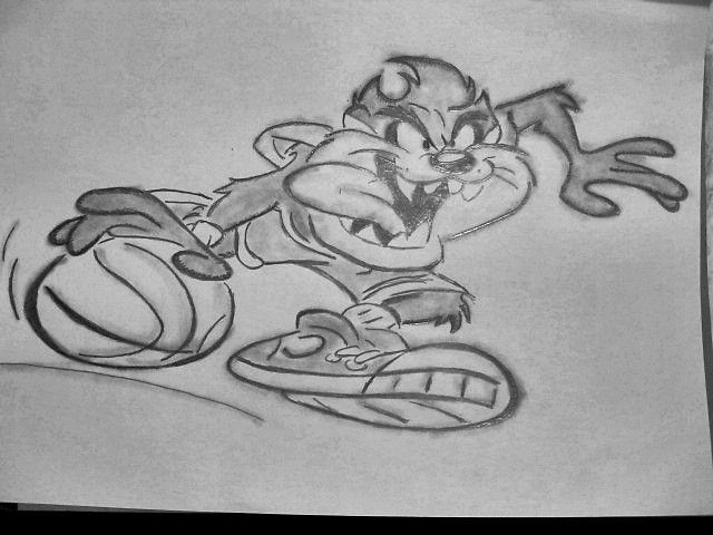 Tasmanian Devil 