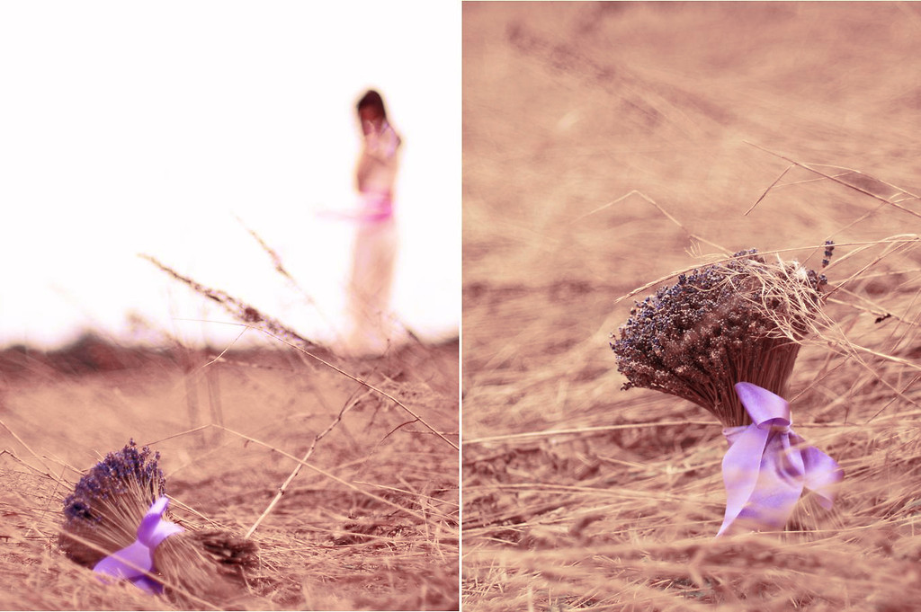 Lavender Lady
