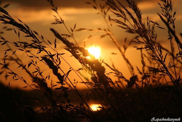 Bieszczady.